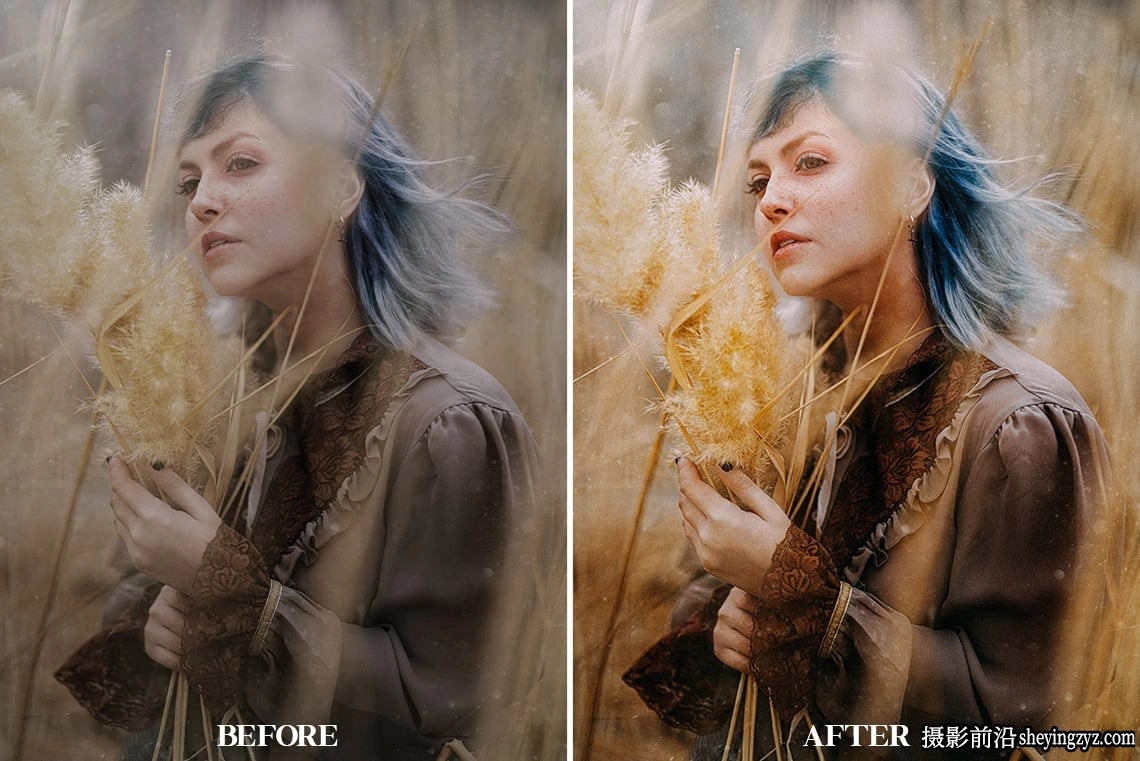 温暖富士胶片LR预设及手机版lr预设 FUJI FILM- Lightroom Presets