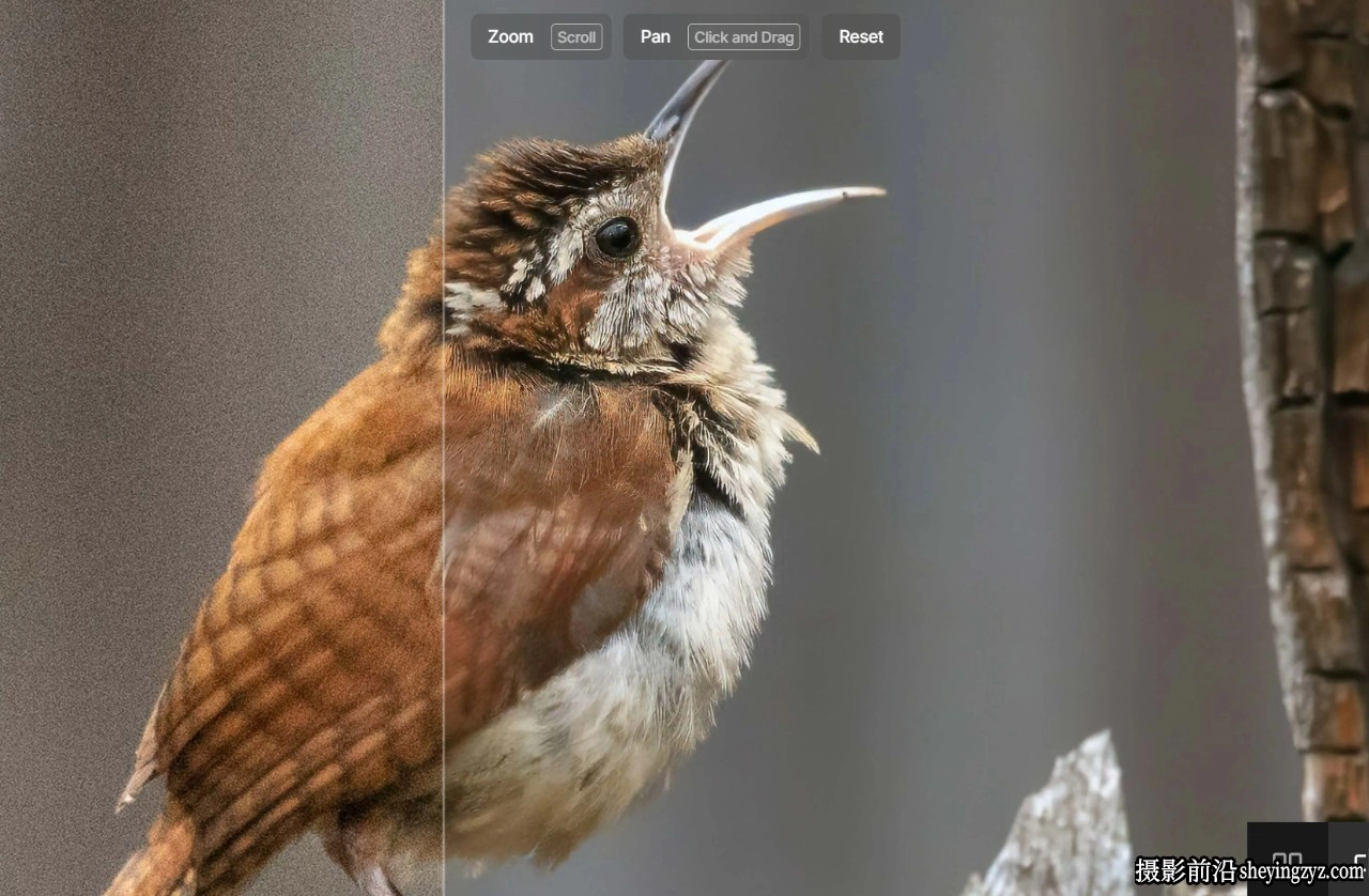 更新!Topaz Photo Pro v1.3.5中文版支持AI扩图移除放大降噪锐化WINX64