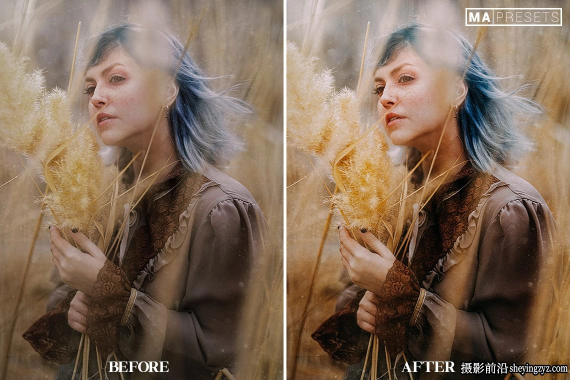 富士电影胶片仿真LR预设及手机LR预设FUJI FILM- Lightroom Presets