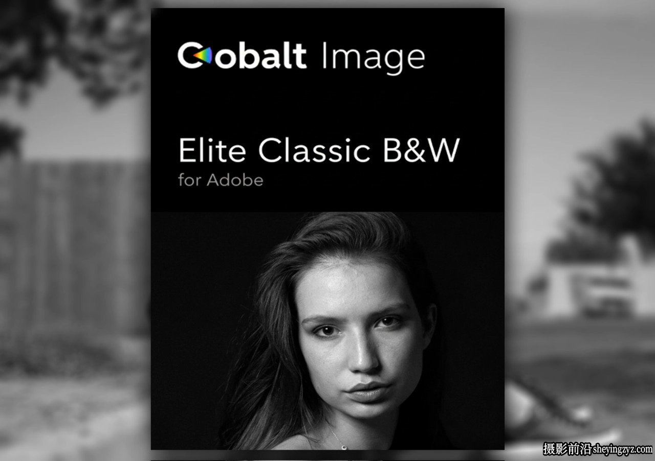 正宗经典柯达黑白胶卷LR预设Cobalt-Image - Elite Classic B&amp;W