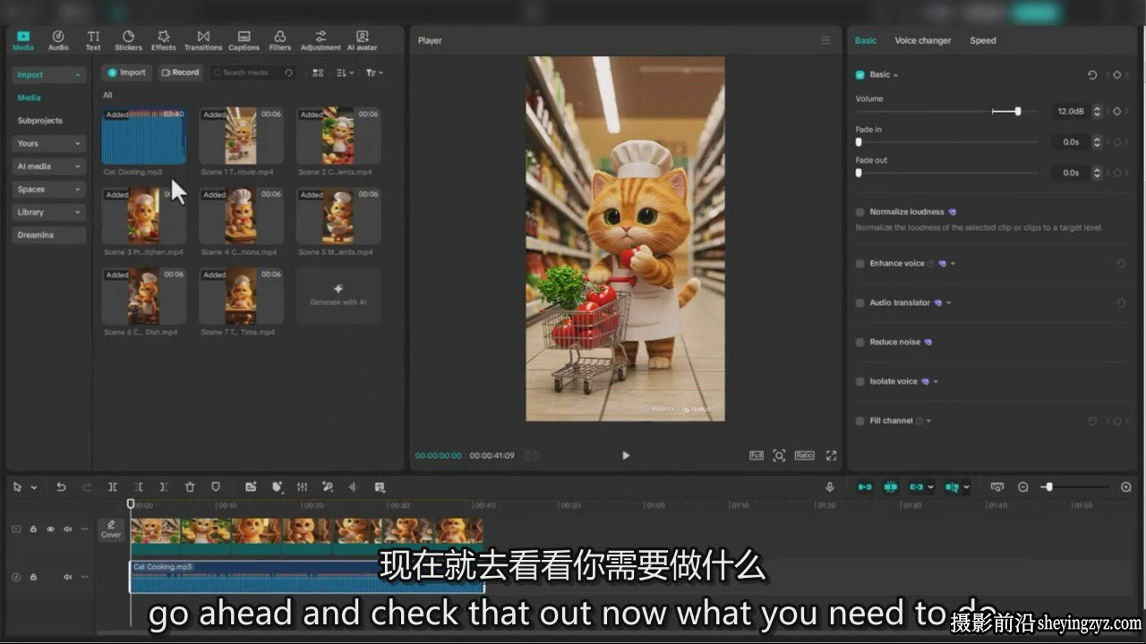 如何为抖音和YouTube创建病毒橘猫冒险AI人工智能视频-中英字幕