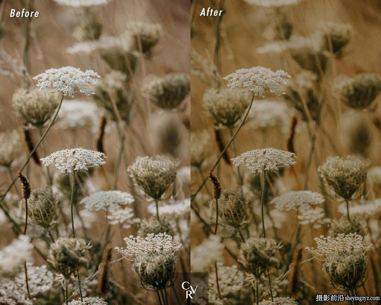 温暖哑光电影人像LR预设手机LR预设 Cottage Lightroom Presets