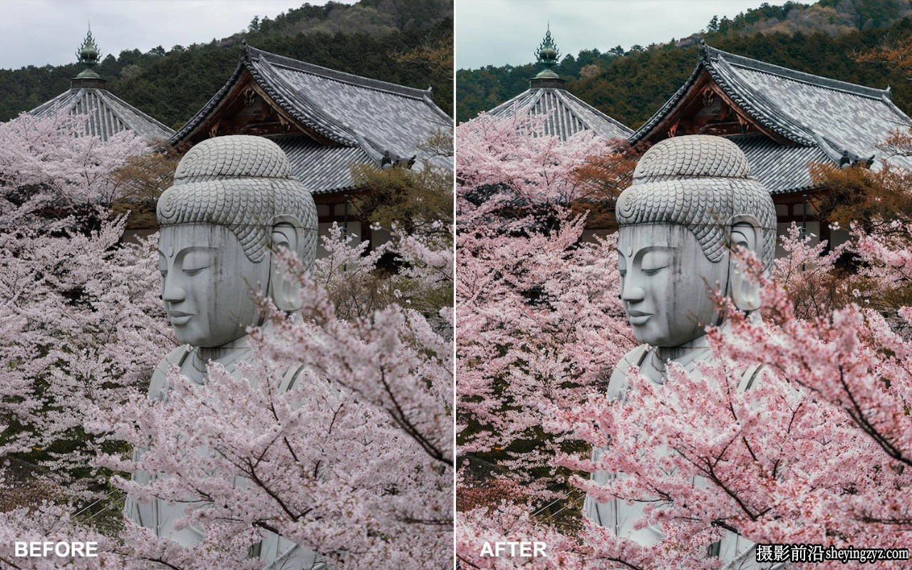 自然风光LR预设 Peter Yan Studio - Landscape &amp; NaturePresets