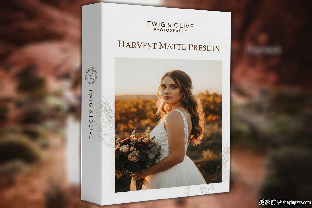 哑光电影复古人像LR/ACR预设Twig &amp; Olive Harvest Matte Presets