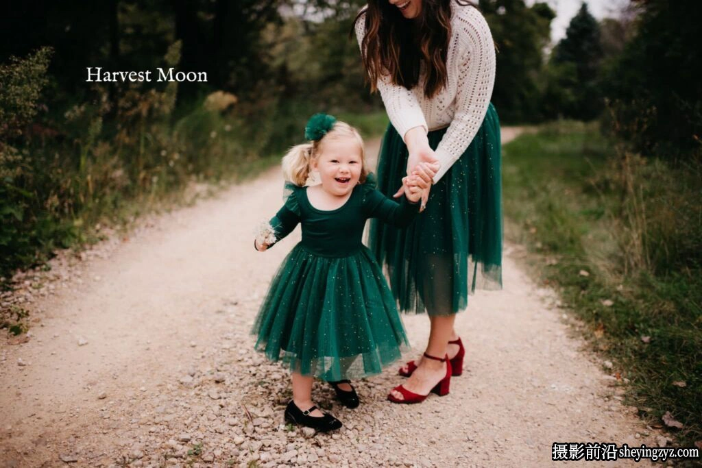 哑光电影复古人像LR/ACR预设Twig &amp; Olive Harvest Matte Presets