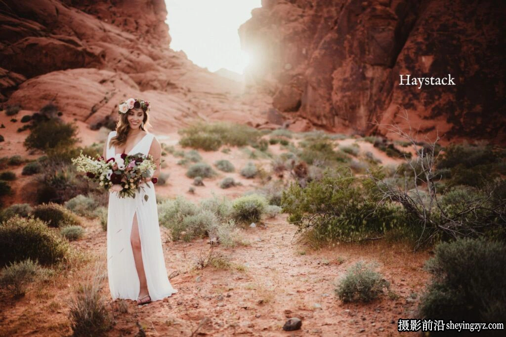 哑光电影复古人像LR/ACR预设Twig &amp; Olive Harvest Matte Presets