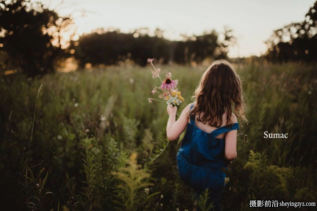 哑光电影复古人像LR/ACR预设Twig &amp; Olive Harvest Matte Presets