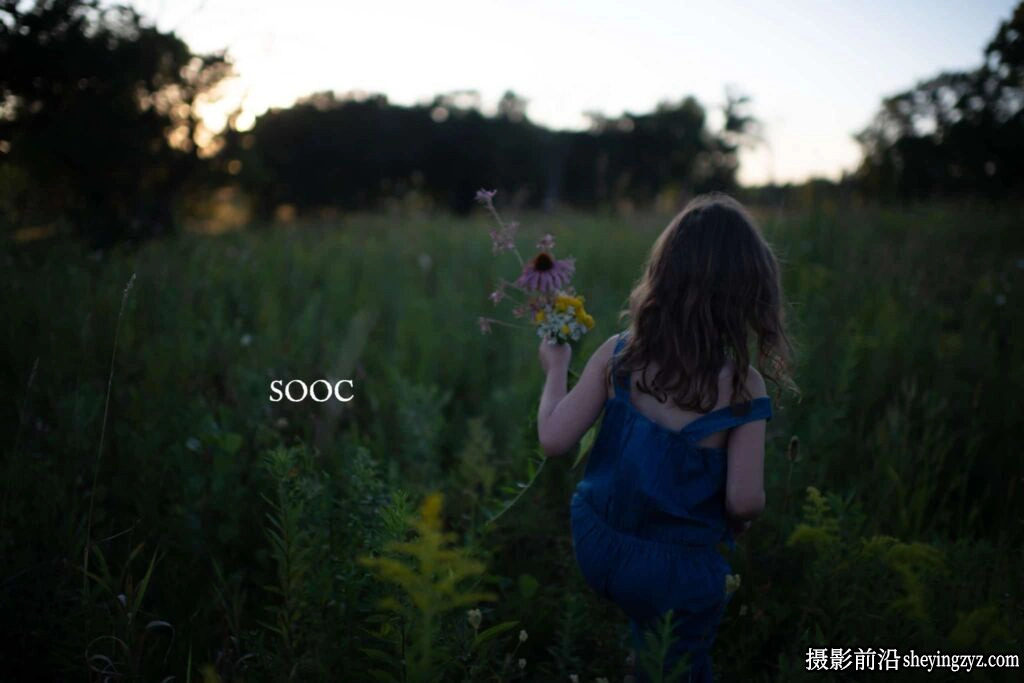哑光电影复古人像LR/ACR预设Twig &amp; Olive Harvest Matte Presets