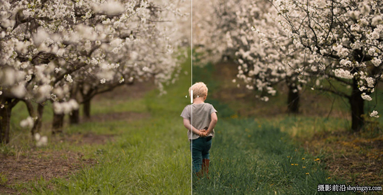 四季温暖色彩Lightroom预设 Meridian Presets -Meg Loeks-Solstice