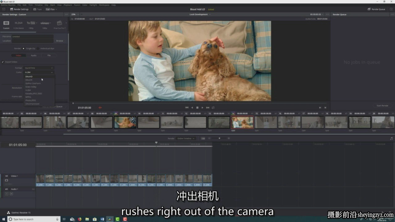 完整的 DaVinci Resolve 剪辑调色教程:从入门到精通-中英字幕