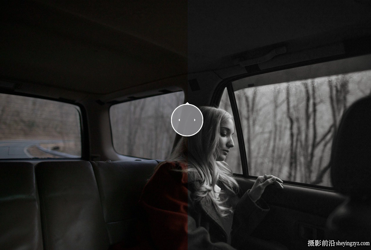 黑白电影胶片Lightroom预设 Dvlop -Nirav Patel -Lotus BW Presets