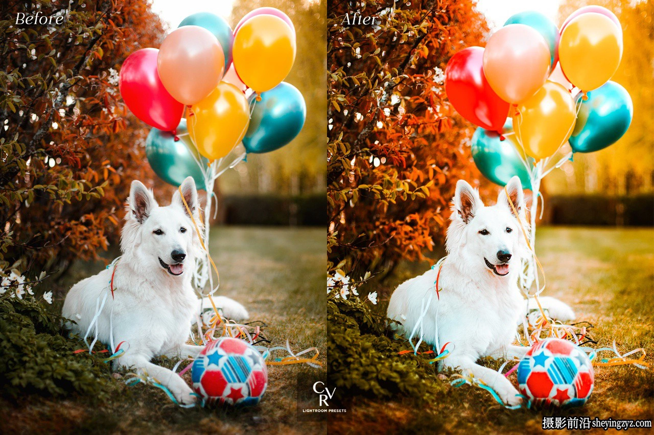 清晰通透色彩LR预设手机lr预设 Color Pop Lightroom Presets