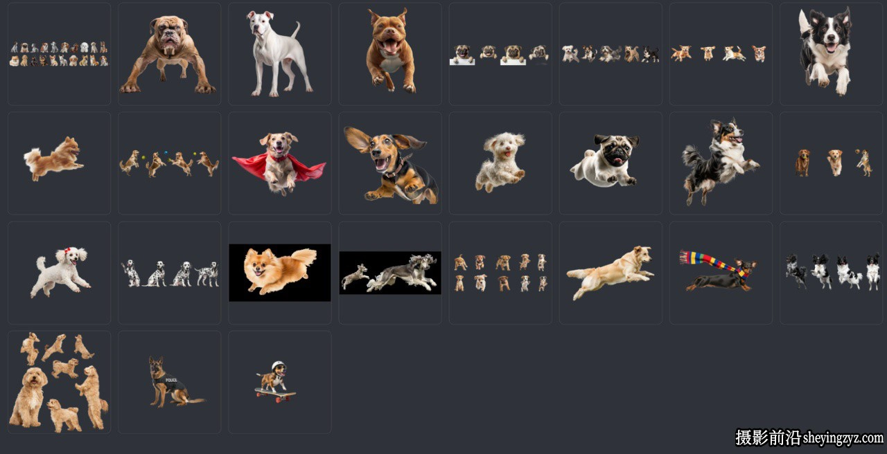 27张各种犬只宠物狗狗PNG透明免扣素材