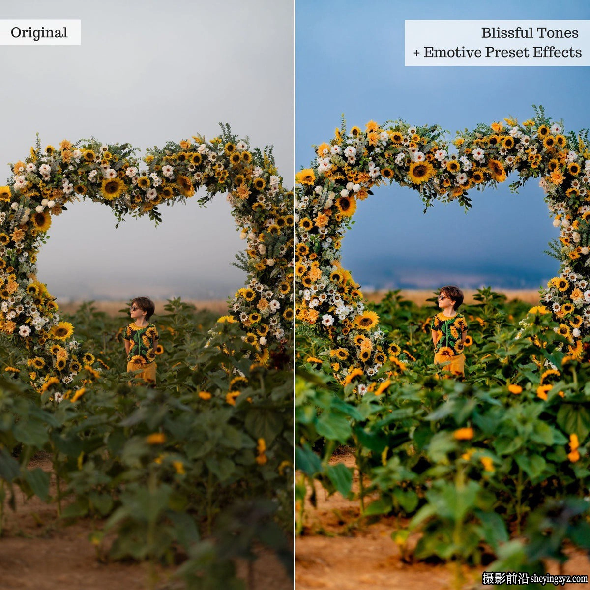 TheLuxeLens 情绪人像AI自适应预设 AI Emotive Lightroom Presets