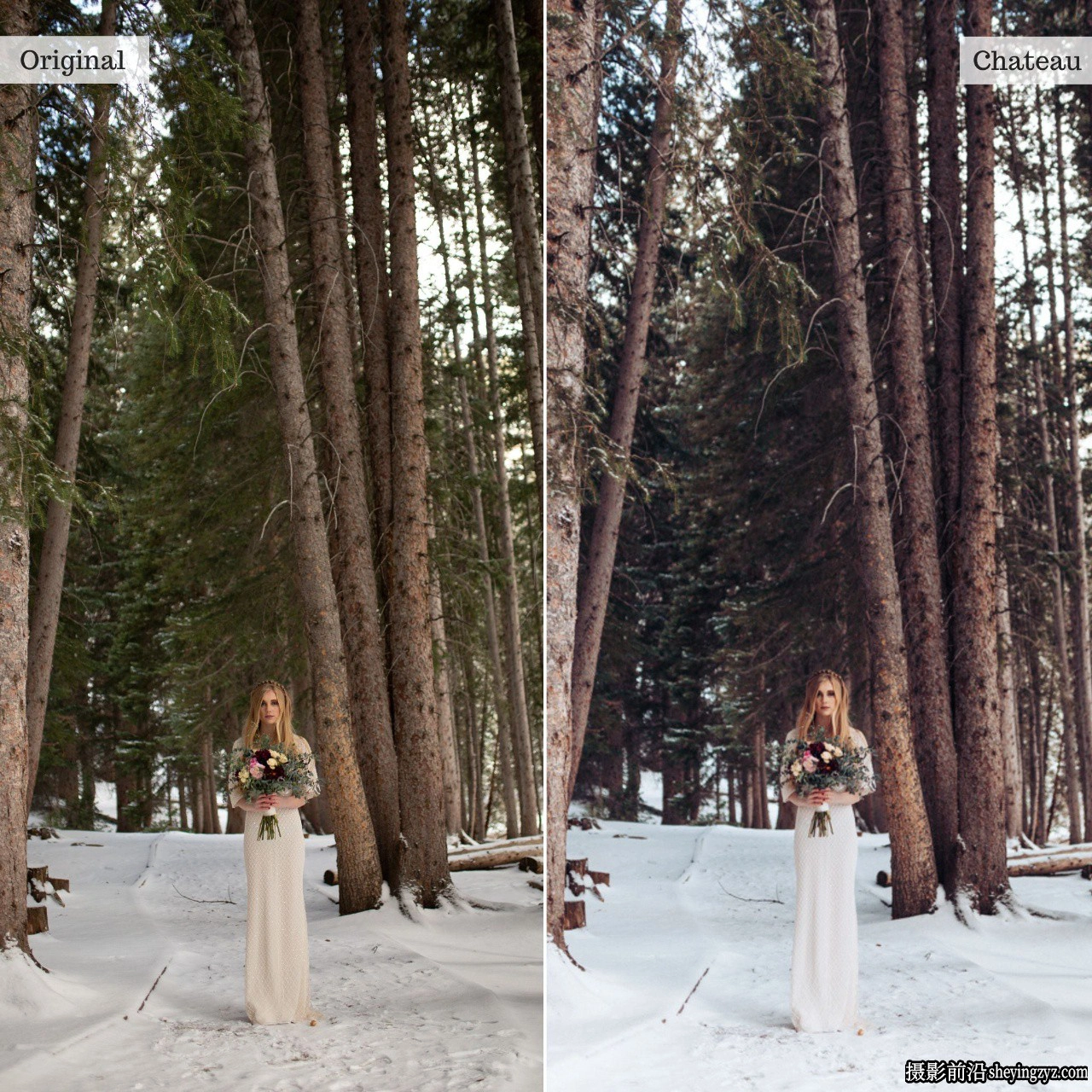TheLuxeLens 浪漫优雅AI自适应LR预设Chateau-Single Color Presets