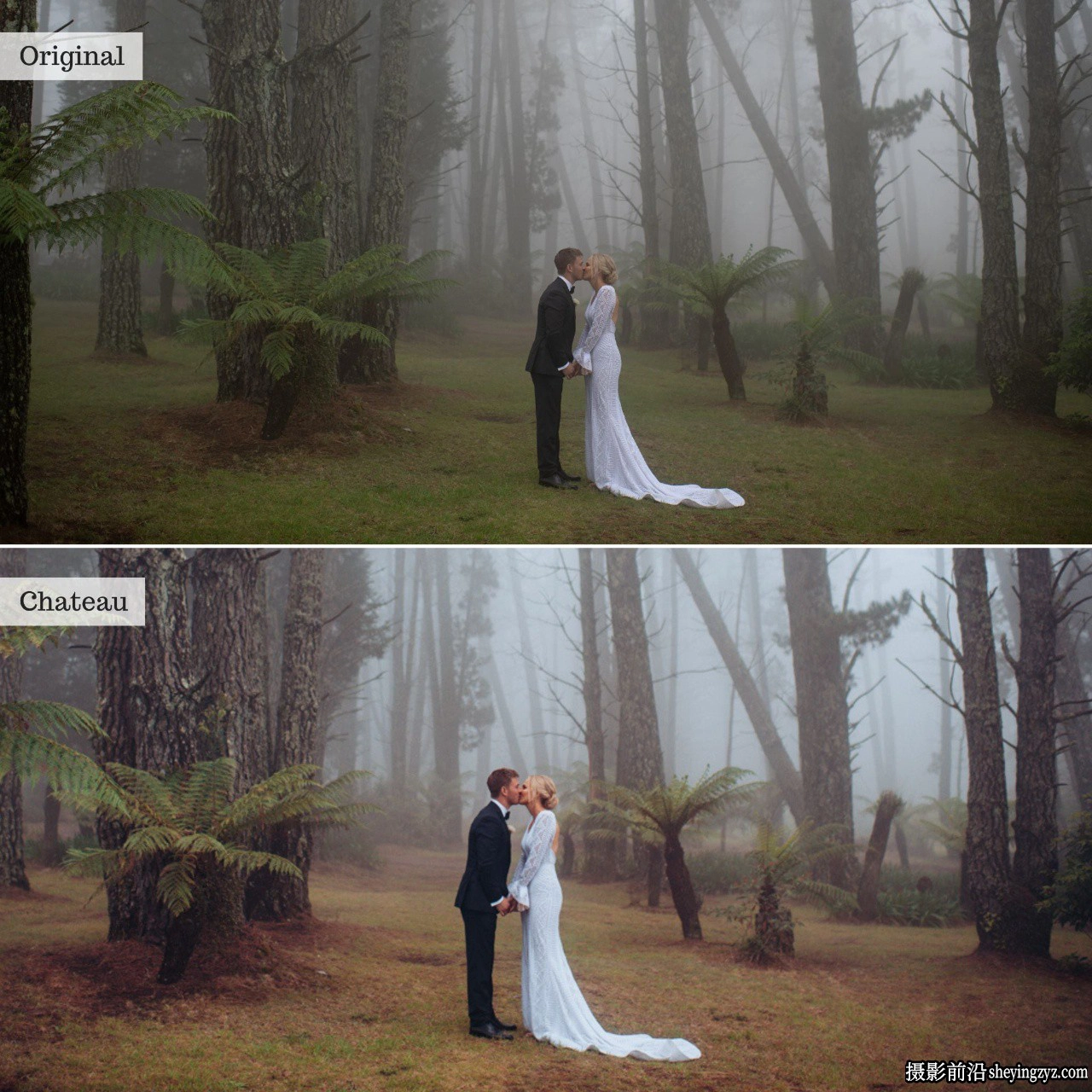 TheLuxeLens 浪漫优雅AI自适应LR预设Chateau-Single Color Presets