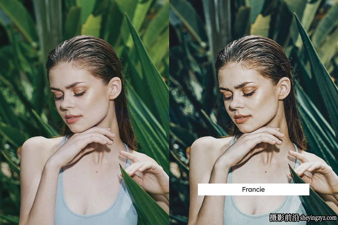 芦荟绿电影人像LR及LUT预设Aloe Green Lightroom Presets and LUTs