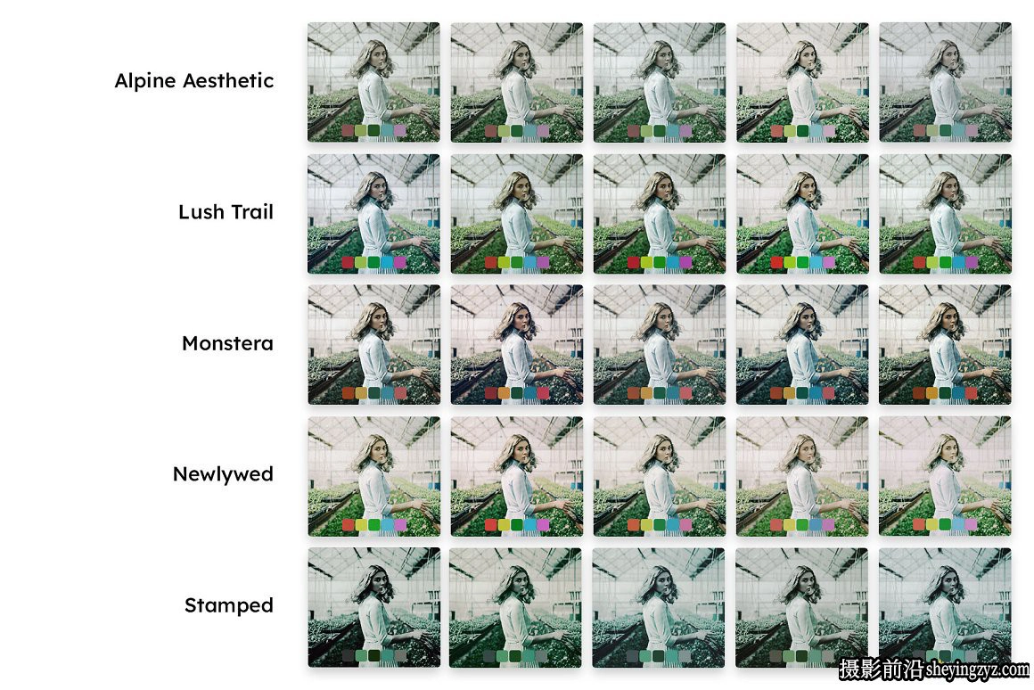 褪色胶片人像LR预设及LUT预设Alpine Green LR Presets and LUTs