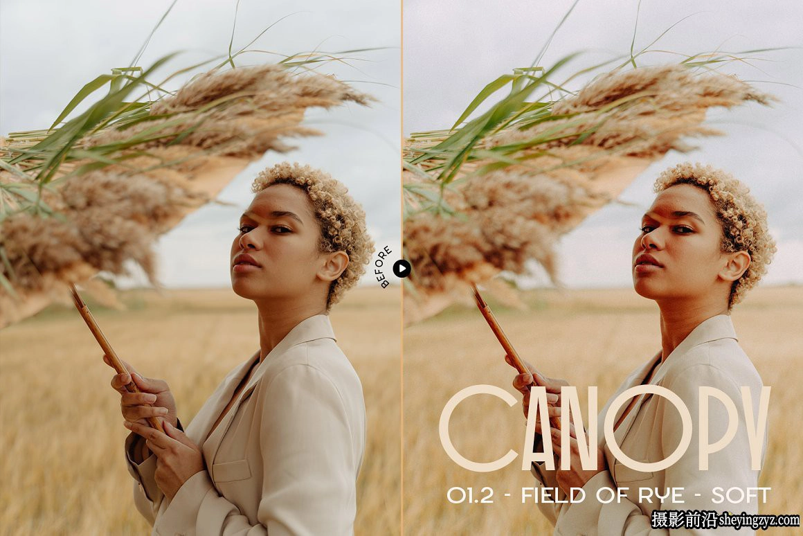 12种朴淳温暖色系人像后期LR预设Canopy-Earthy Lightroom Preset