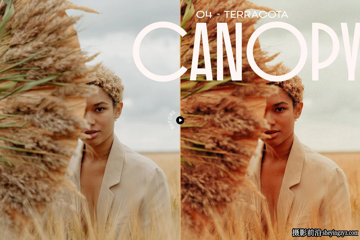 12种朴淳温暖色系人像后期LR预设Canopy-Earthy Lightroom Preset
