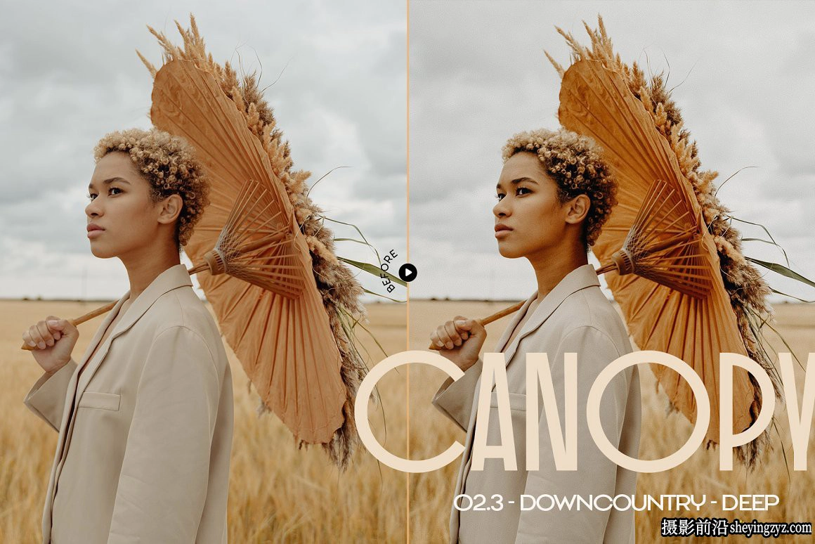 12种朴淳温暖色系人像后期LR预设Canopy-Earthy Lightroom Preset