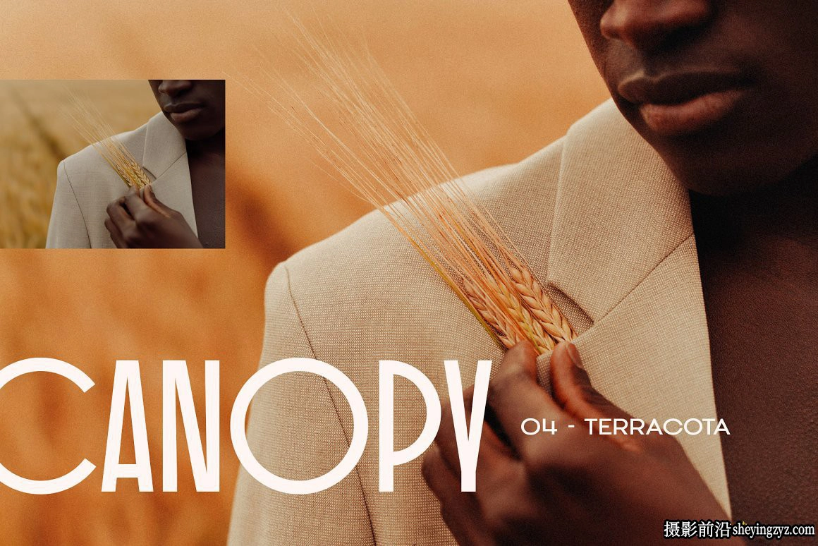 12种朴淳温暖色系人像后期LR预设Canopy-Earthy Lightroom Preset