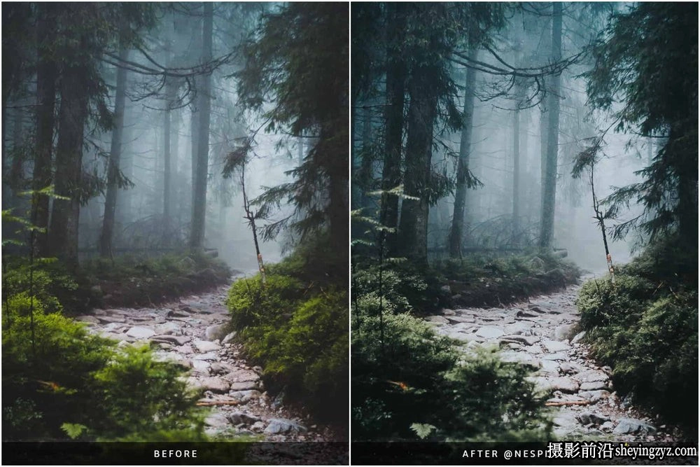 森系胶片婚礼网红人像LR预设NesPresets-Evergreen Clean Presets