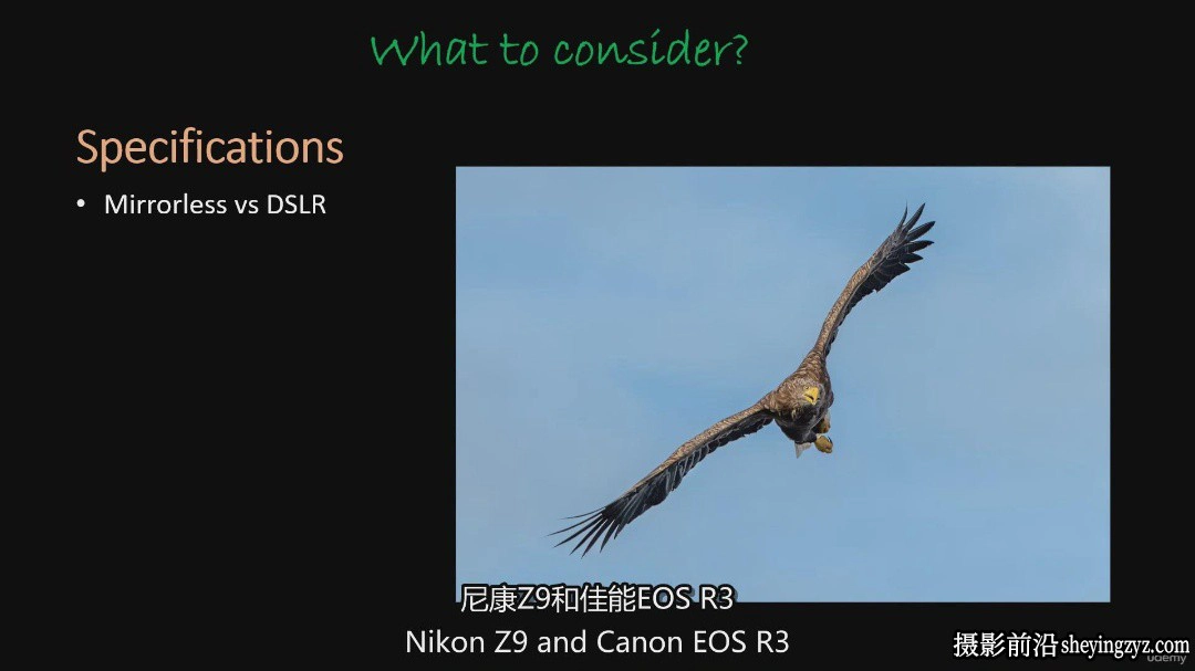 摄影师Paul McDougall 野生动物摄影初学者必备指南教程-中英字幕