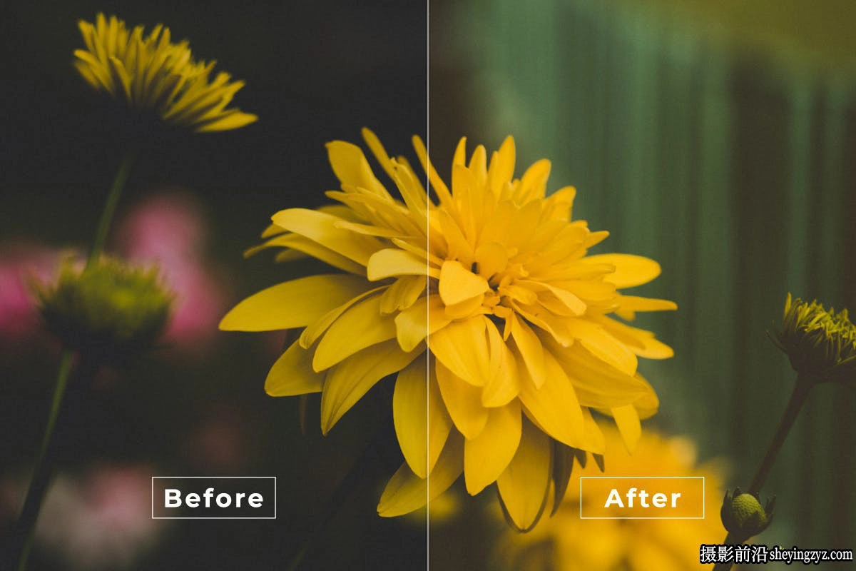 电影风光摄影后期调色LR预设及LUT预设 Airy Sunrise LR Presets