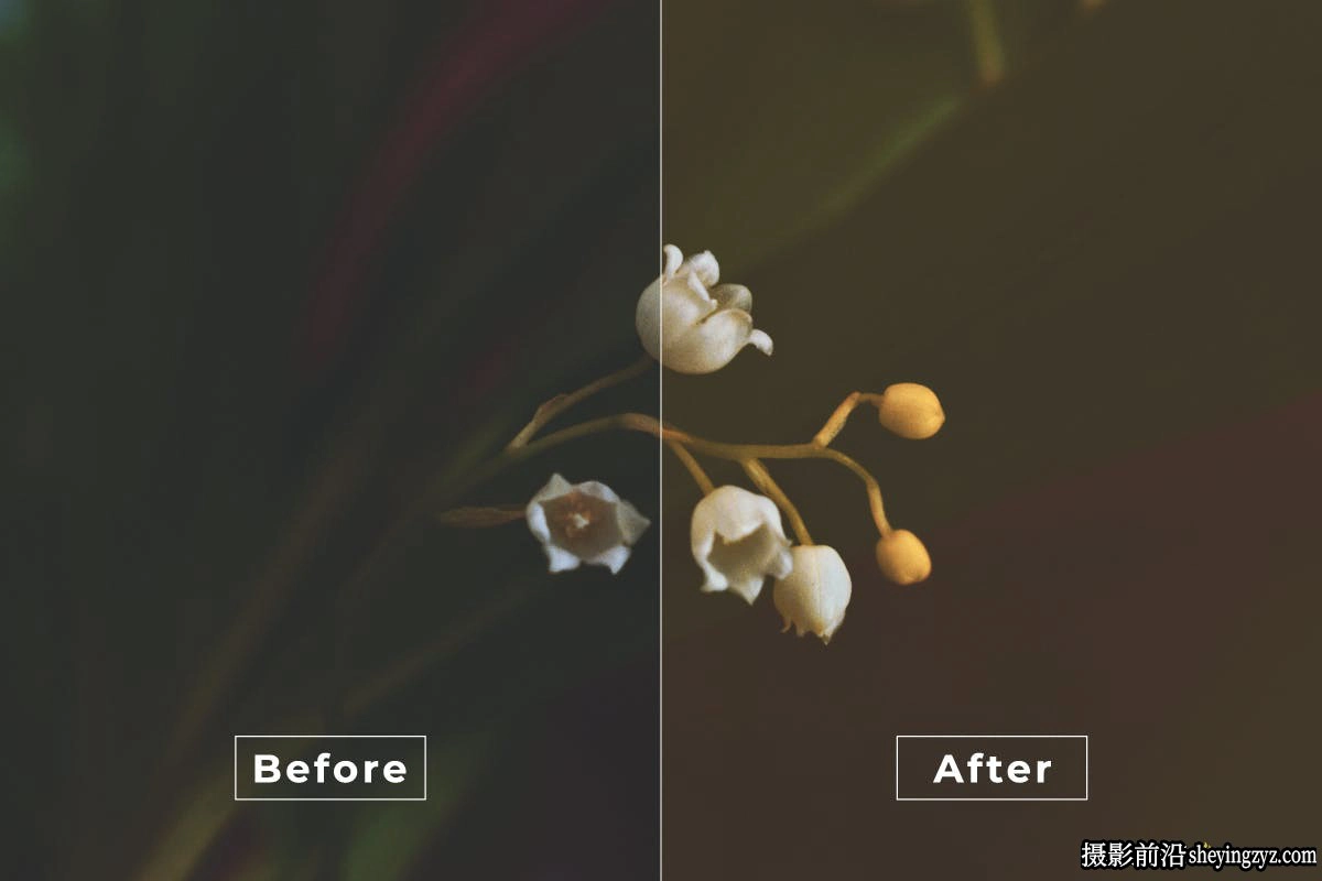 电影风光摄影后期调色LR预设及LUT预设 Airy Sunrise LR Presets