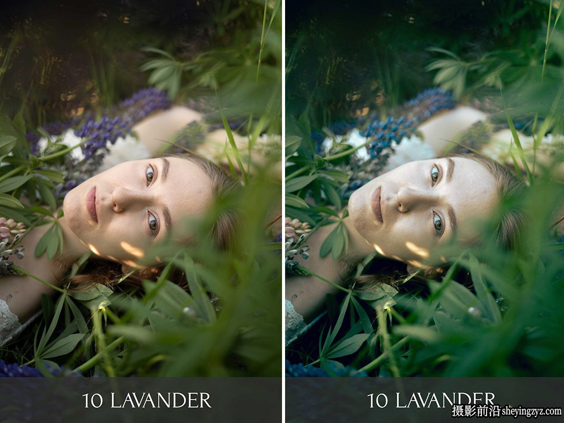 摄影师 Polina Washington植物园LR预设 Botanical Garden Presets