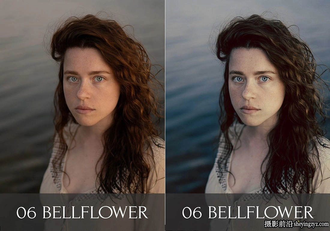 摄影师 Polina Washington植物园LR预设 Botanical Garden Presets