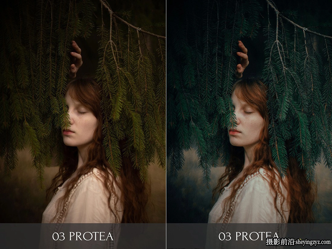 摄影师 Polina Washington植物园LR预设 Botanical Garden Presets