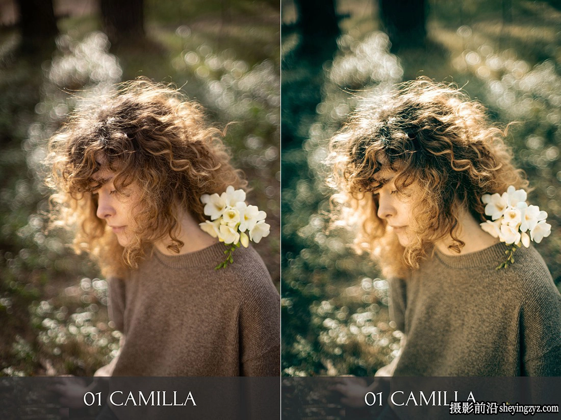 摄影师 Polina Washington植物园LR预设 Botanical Garden Presets