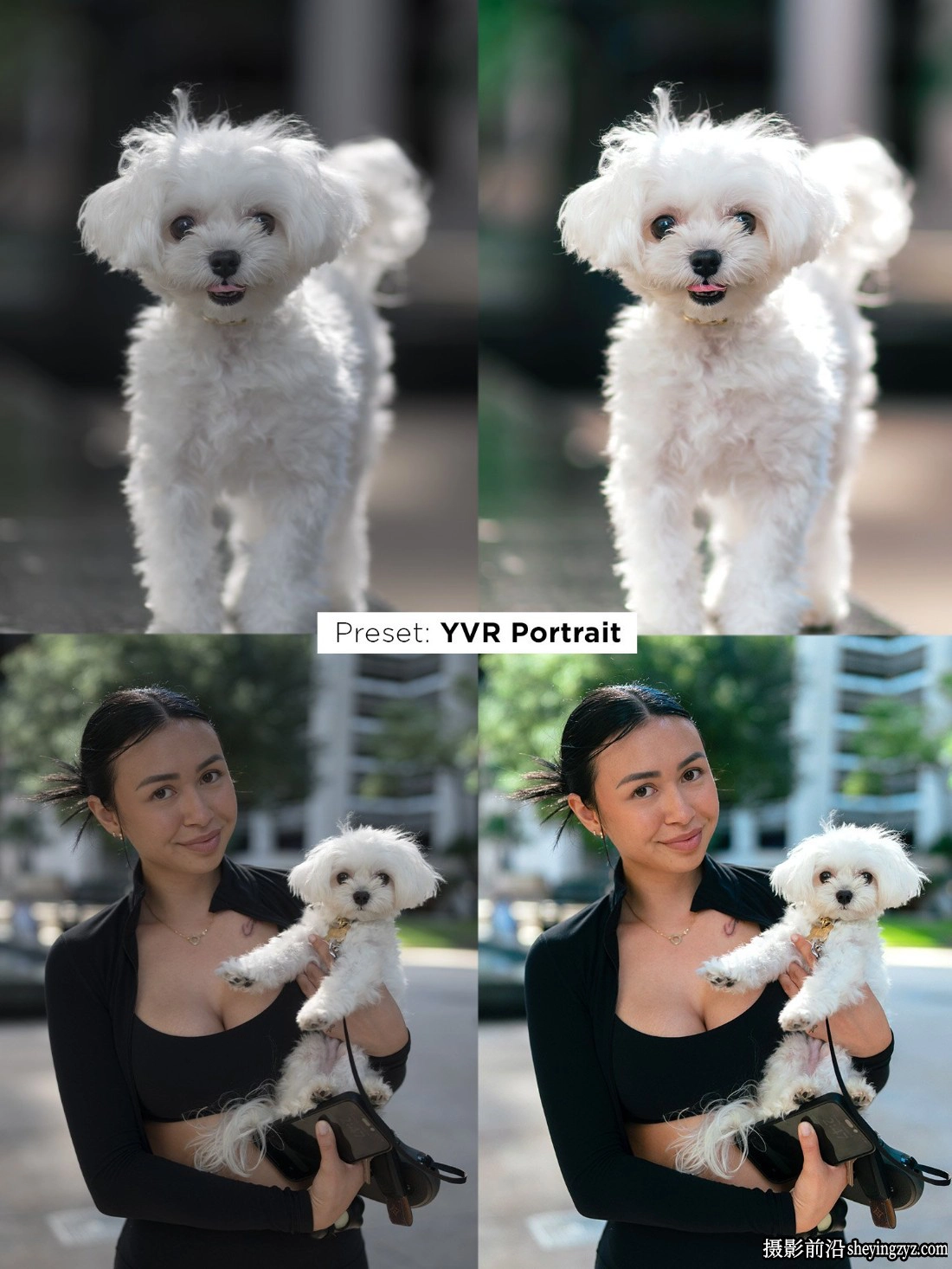 摄影师Justjn Veenema终极LR预设包 Ultimate Preset Bundle