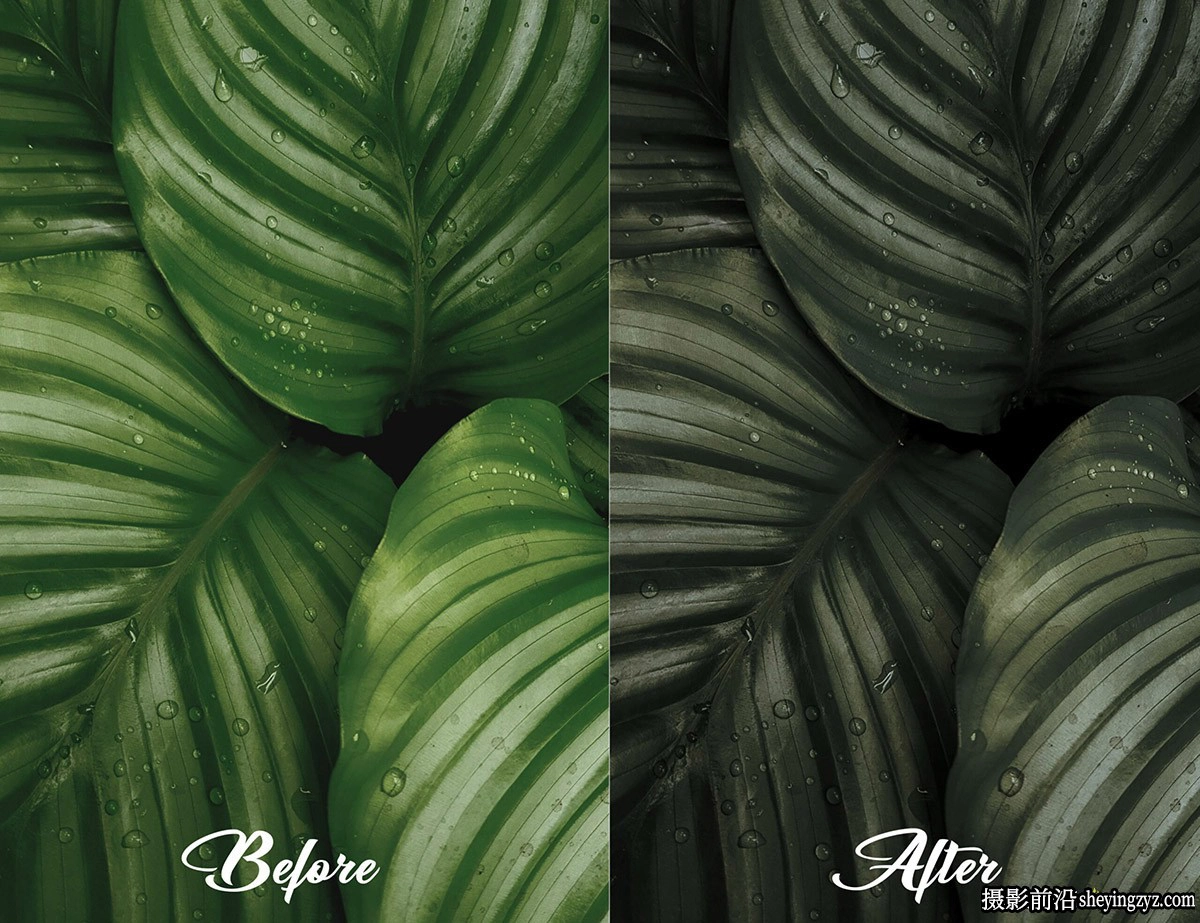 无人机航拍黑暗电影风光LR预设 MePresets-Cinematic Green Presets