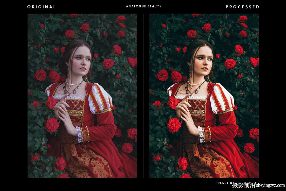 柯达VSCO富士电影胶片仿真模拟LR预设 Analogue Beauty Presets