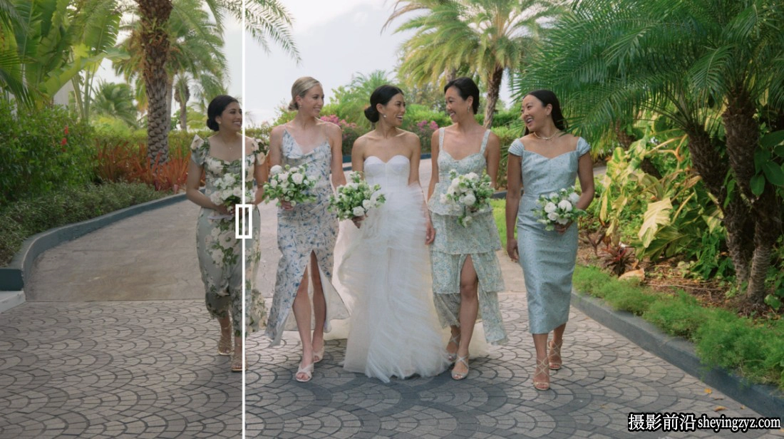 清新优雅轻奢豪华婚礼LUT预设 Gamut - The Luxe LUT Collection