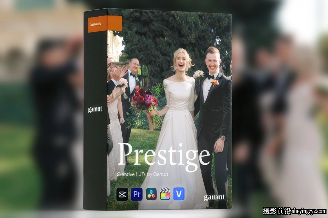温暖永恒婚礼电影美感LUT调色预设Gamut - Prestige LUT Collection