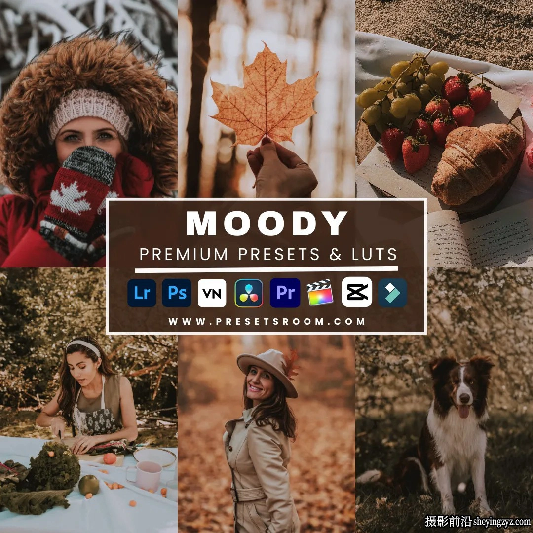 秋季情绪氛围电影人像LR预设Presetsroom-Moody Lightroom &amp; Luts