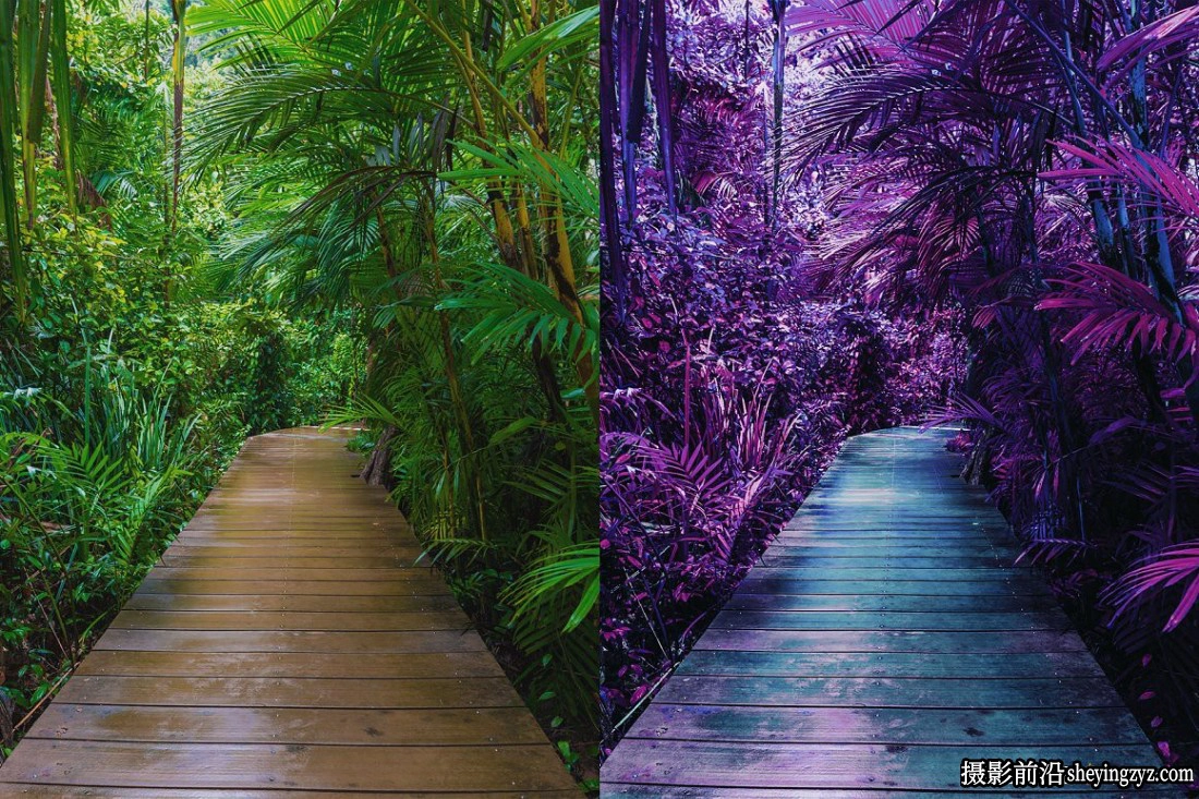 25 个紫外线Lightroom预设和LUT预设25 Ultraviolet Presets and LUTs