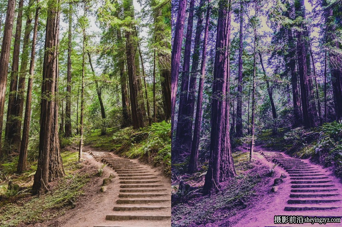 25 个紫外线Lightroom预设和LUT预设25 Ultraviolet Presets and LUTs