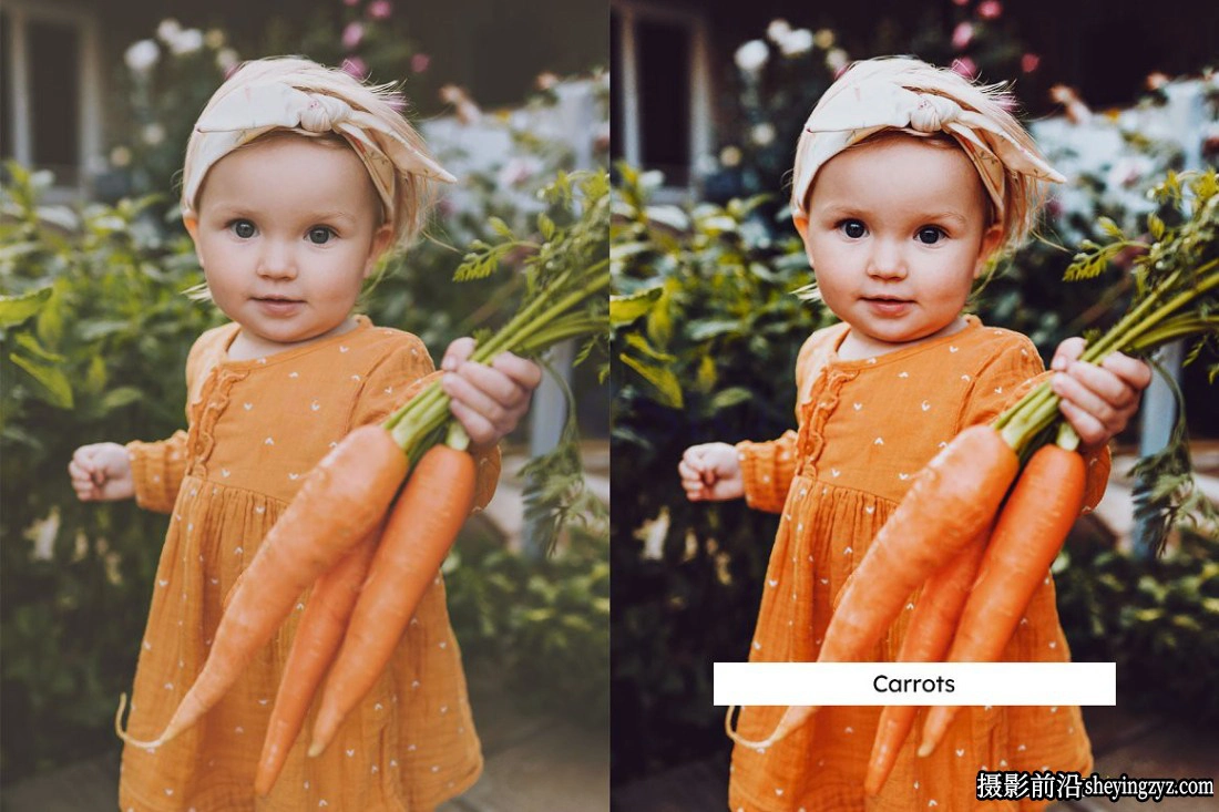 20种园艺主题色彩增强LR预设 20 Gardening Lightroom Presets &amp; LUTs