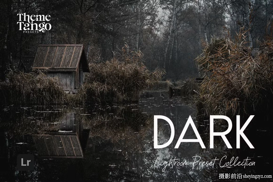 戏剧性黑暗情绪氛围LR预设 Dark and Moody Lightroom Presets
