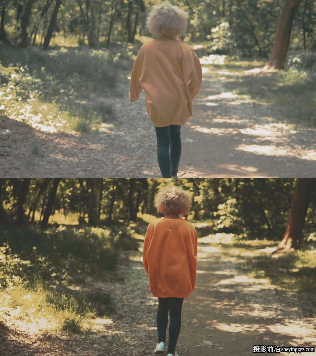 Colorwheelstore -旅拍夏季风格LUT预设 Lut Travel vol 1-Summer