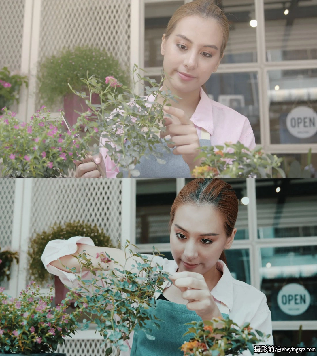Colorwheelstore - 色彩鲜艳增强LUT预设 Lut Vibrant Style Pack