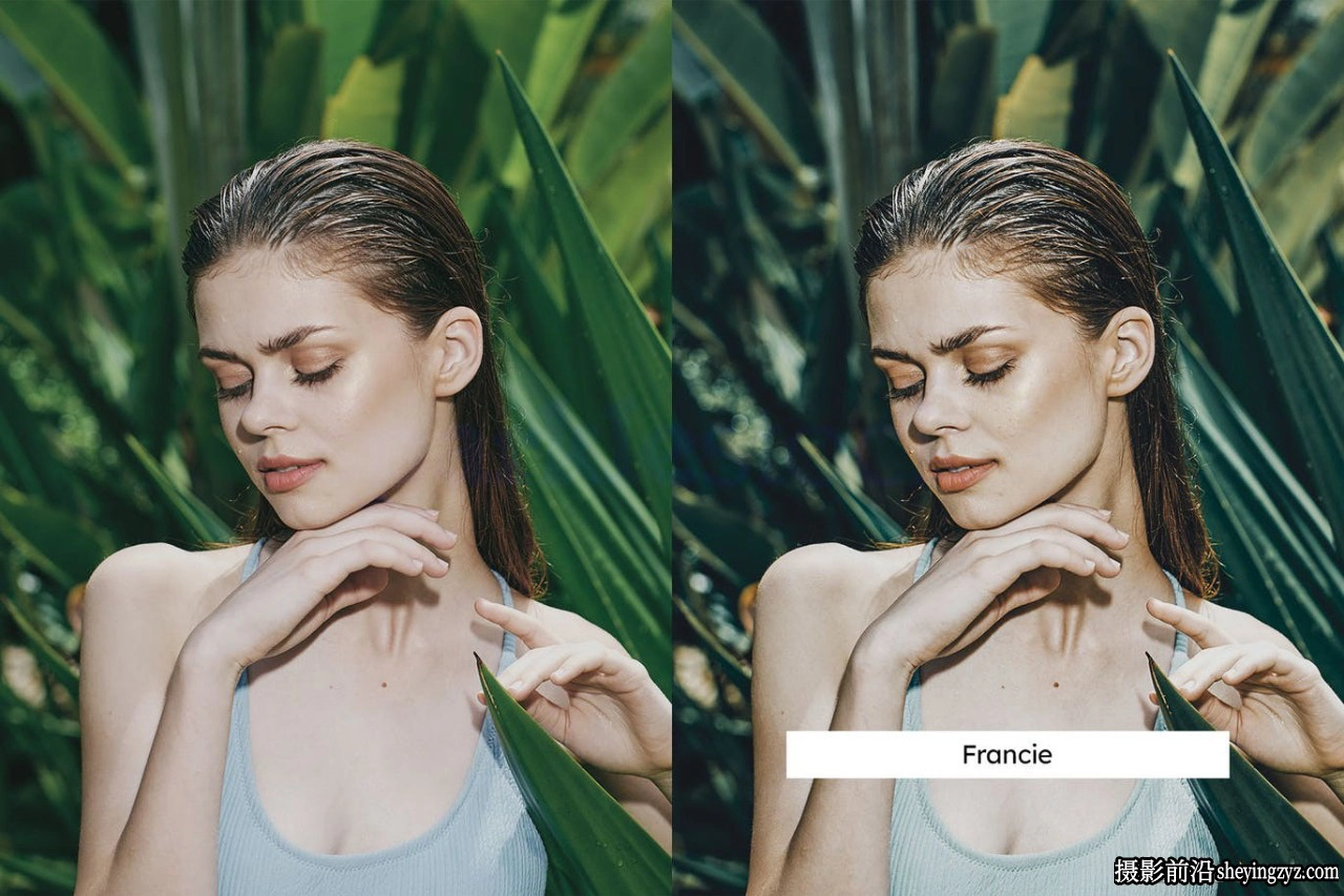 20个电影胶片调色LR/LUT预设Aloe Green Lightroom Presets &amp; LUTs