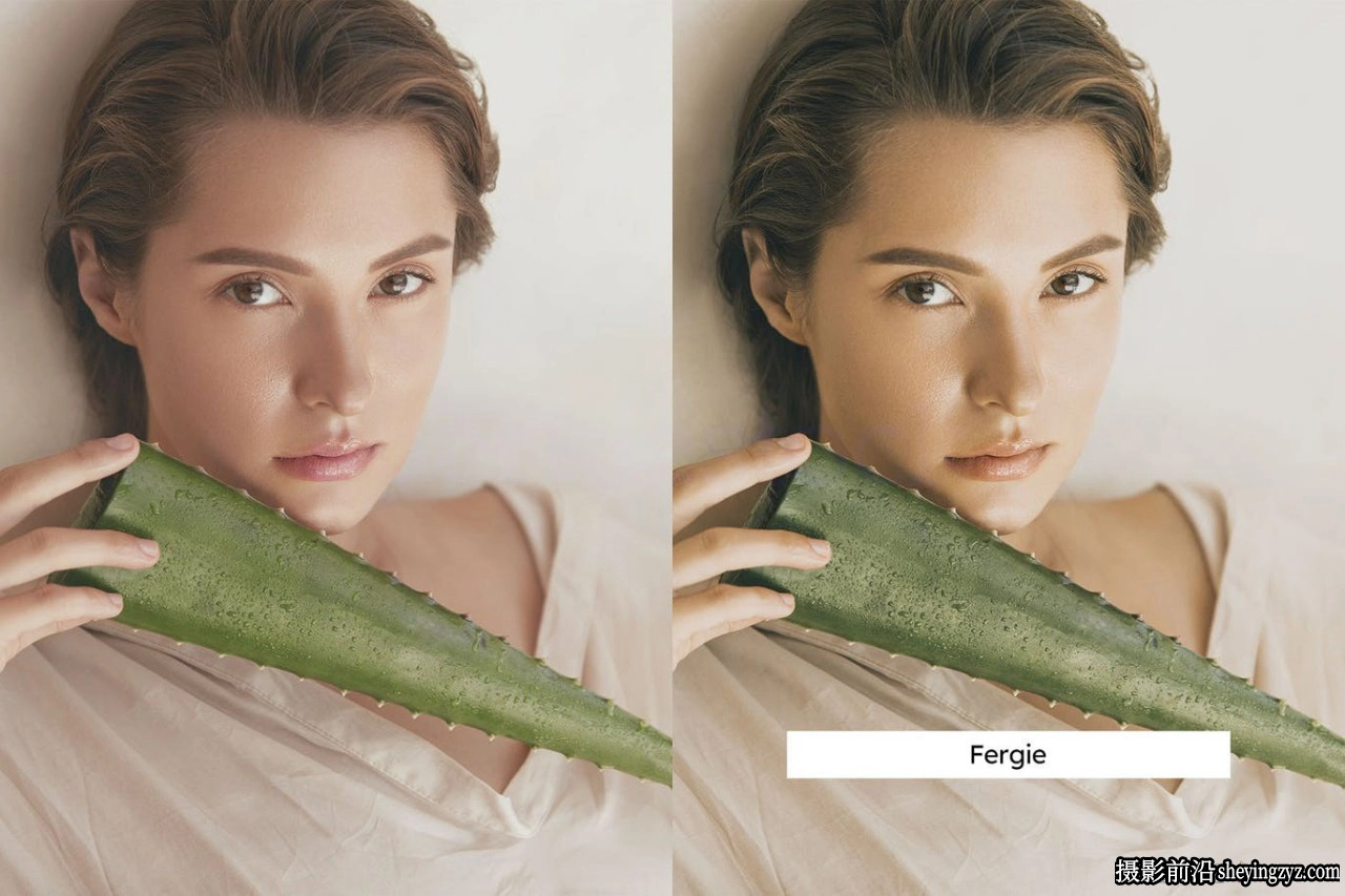 20个电影胶片调色LR/LUT预设Aloe Green Lightroom Presets &amp; LUTs