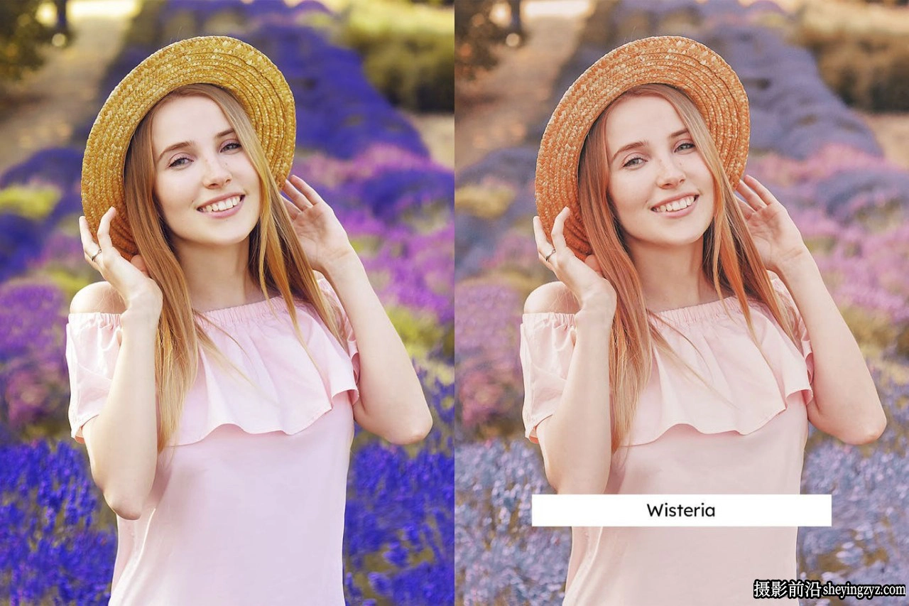 粉色调人像调色LR/LUT预设 Purple Pink Lightroom Presets &amp; LUTs