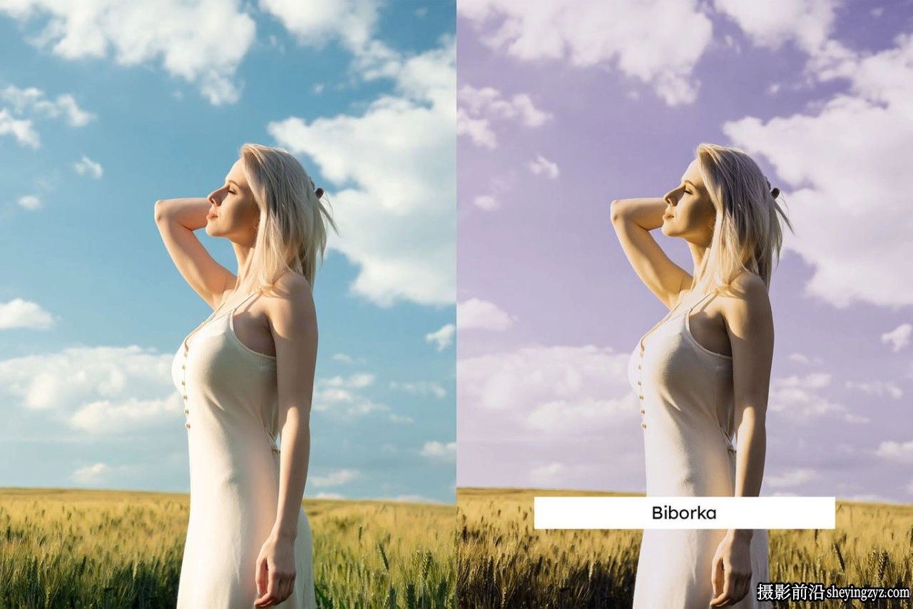 超现实电影人像调色LR/LUT预设Purple Lightroom Presets &amp; LUTs
